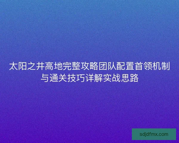太阳之井高地完整攻略团队配置首领机制与通关技巧详解实战思路