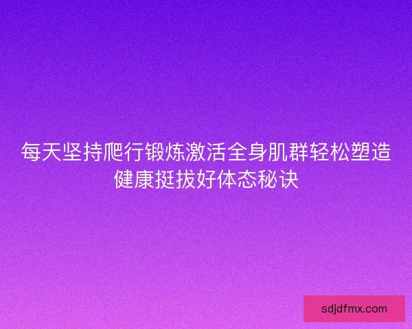 每天坚持爬行锻炼激活全身肌群轻松塑造健康挺拔好体态秘诀