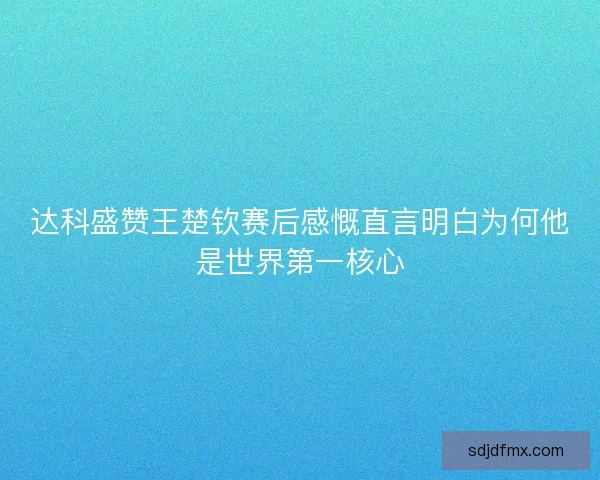 达科盛赞王楚钦赛后感慨直言明白为何他是世界第一核心