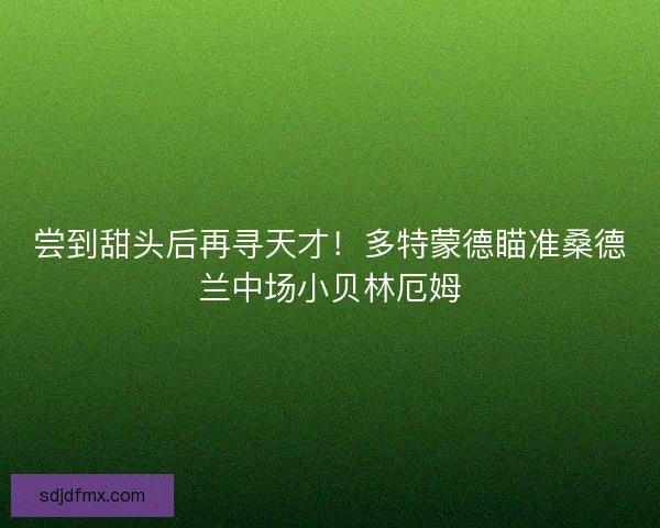 尝到甜头后再寻天才！多特蒙德瞄准桑德兰中场小贝林厄姆