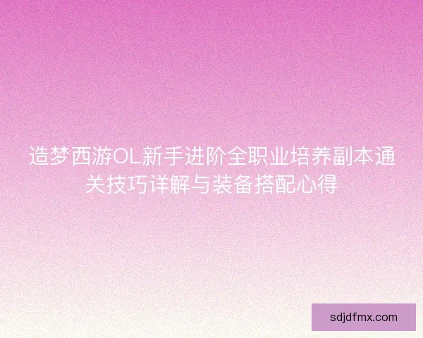 造梦西游OL新手进阶全职业培养副本通关技巧详解与装备搭配心得